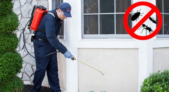 Tekman Gümüşkurt İlaçlama böcek ilaçlama ve haşere kontrolü — ilaclama-tr.com